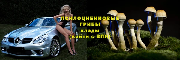 соль ск Верея