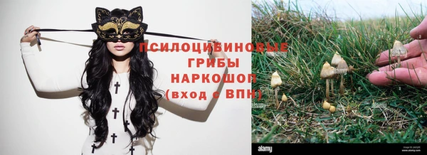 соль ск Верея